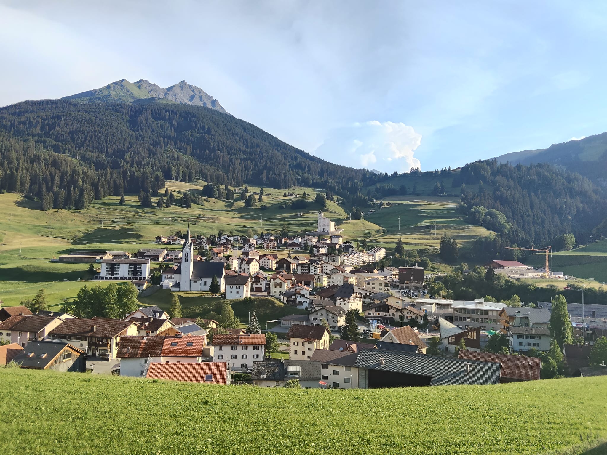 swiss